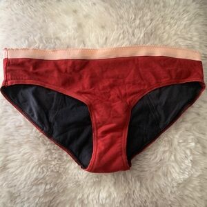 Thinx BTWN bikini